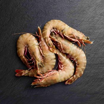 Frozen Fresh Shrimps Premium Export Quality With Firm Texture Natural Taste And Carefully Selected Seafood Supply - TOSOH INTERNATIONAL - South Africa