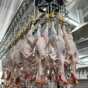Efficient Slaughtering Equipment with Electric Heating - Shandong Mingshun Intelligent Equipment Co., Ltd. - China