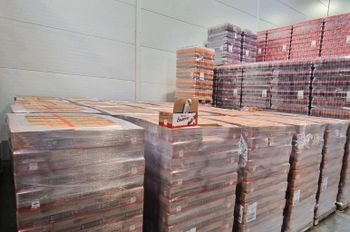 High Quality Chocolate Candy Bar Bulk Order Supply For Global Market - LIVE COMMERCE - France