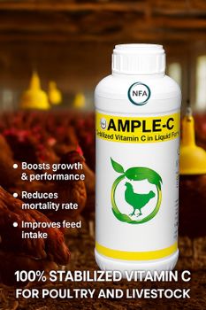 AMPLE-C Form Liquid Ingredients Vitamin C Packaging Bottle (1 - NFA Pharma Co - Turkey