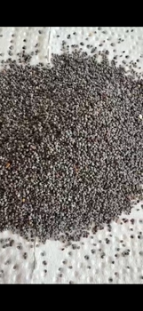 Blue Poppy Seeds – Bakery Grade | Cleaned & Sortex | Bulk Export - EMTIA GLOBAL TRADE INC - Canada