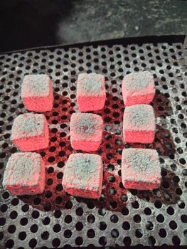 Shisha Charcoal from Alam Raya Makmur Shisha Charcoal - Alam Raya Makmur - Indonesia