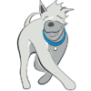 Product - DUCO HONDENSCHOOL EN GEDRAGSTHERAPIE - Netherlands
