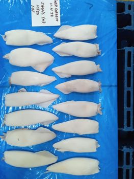 squid whole and cleaned Cut Cutlet Freshness Level Frozen Degree of Processing Other - amigoseafood co - India