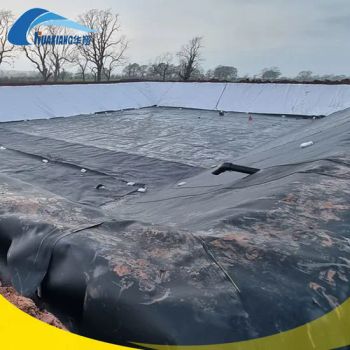Tailing Treatment Smooth/Textured HDPE Geomembrane Dam Liner for Mines Washing Pool/Floating Covers/Tunnel/Leachate Pond - Dezhou Huaxiang New Material Technology Co., Ltd. - China