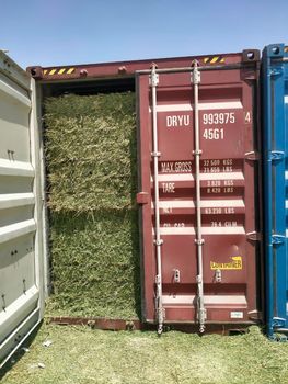 Alfalfa Packaging Bales Max. Moisture (%) - Teiba for export cotton and agricultural products  - Egypt