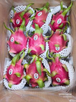 Fresh Dragon fruit – product photo, Fresh Passion Fruit products found from trusted suppliers, wholesalers, manufacturers & exporters Listing