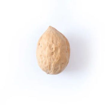 Improve Brain Development Nutx Amazing Benefits of Walnut Origin China Storage Shade Processing Raw Trademark sugo HS Code - Hebei ShengMeng Foodstuff Co., Ltd - China
