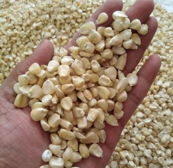 white maize - truestone mining company limited - Tanzania