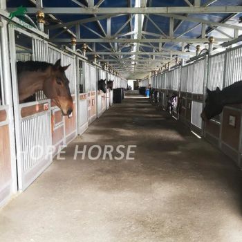 Equestrian Horse Stalls Horse Stable Frame Horse Equipment Stalls with Doors - QINGDAO HOPE HORSE TRADE CO., LTD. - China