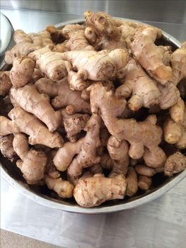Hot Sale Fresh Ginger Export High Quality Fresh Elephant Ginger From Fresh Ginger Supplier /thin Ginger / Fat Ginger - EAST LAND PROPERTIES - Tanzania