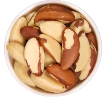 Wholesale Premium Grade Natural Brazil Nuts Grade A Texture Creamy Flavor Buttery Packaging PP bag Shelf Life 24 months Form Large, Creamy Nuts - TRADE NEPAL LLC - United States