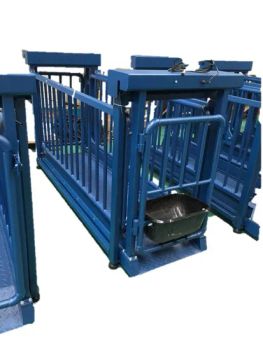 High Quality Livestock Platform Scales Tcs-5000kg Details Weigh Bridge - Danko Scale Co., Ltd. - China
