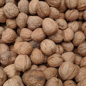 walnuts kernel chandler 80% halved from Navser International Trading walnuts kernel chandler 80% halved - Navser International Trading - Turkey