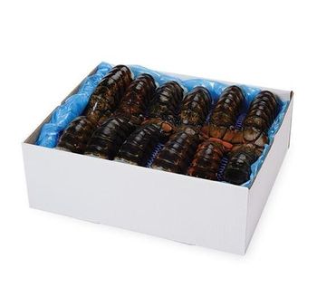 Wholesale Supplier Of Frozen Whole lobster, Frozen Lobster Tails from Exigentelaxia Unipessoal Lda Wholesale Supplier Of Frozen Whole lobster, Frozen Lobster Tails - Exigentelaxia Unipessoal Lda - Portugal