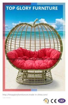 Wicker Furniture Handing Swing Rattan Chair (TGDL-059) - FOSHAN TOP GLORY FURNITURE TECHNOLOGY CO., LTD. - China