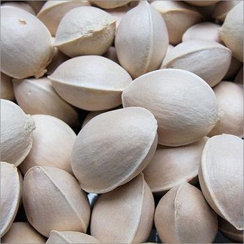 Fresh Whole Ginkgo Nuts Clean & Natural Economical Wholesale Bulk Packages for Resale - A.C.P. AGRICULTURE COMPANY LIMITED - Thailand
