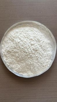 Guar Gum Powder - Ashapura proteins ltd. - India
