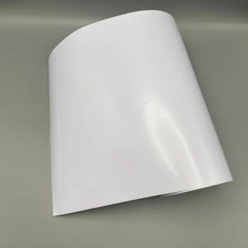 Food Sticker Adhesive Paper 50X70 PVC Stickers Offset Printing - Jiaxing Zhengshuo Packing Technology Co., Ltd. - China