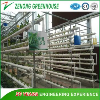 Supply Greenhouse Hydroponics System for Tomato/Lettuce/Leaf Vegetables - Shouguang Zenong Greenhouse Engineering Co., Ltd. - China