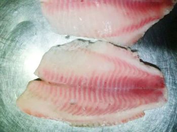 Fresh Frozen Export Black Tilapia Fillet Wholesale Price Type Fish Origin China Pin Bone Pbo Pbi Model NO. Fillet Processing - Xiamen Yangzhen Import and Export Co., Ltd - China