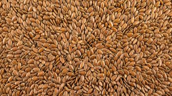 Brown Flaxseed Linseed Oil Content 38–42% Packaging Size 25kg Seed Coat Color Dark Purity Minimum 99.95% Moisture Content Max 8% - Agros-98 AD - Bulgaria