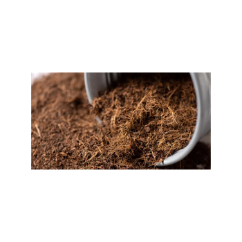 Cheap price coconut peat blocks ideal for greenhouse and nursery applications - Medcompex Gmbh - United Kingdom