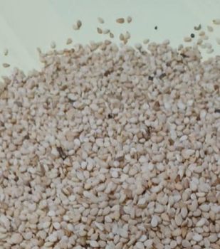 Sesame seeds – product photo, Mixed Sesame Seeds products found from trusted suppliers, wholesalers, manufacturers & exporters Listing