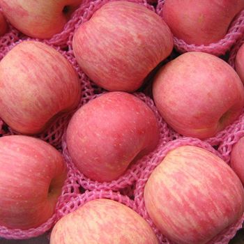 Fresh Fuji Apples - Meicun Farm - China