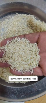 1509 Basmati Steam White