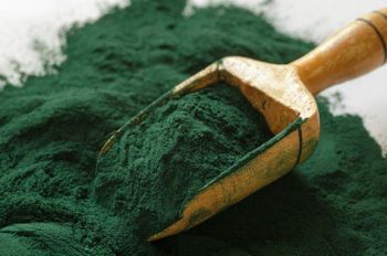 Spirulina Powder Organic Certification Yes Key Feature Supports Immunity And Energy Processing Standards Gmp And Iso - Agritech  - India