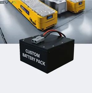 OEM/ODM 24V/48V/72V Lithium Battery Solution for Agv/ AMR Mobile Robot with Fast Charging High Discharge Rate Long Cycle Life Smart BMS - EVVA TECHNOLOGY CO., LIMITED - China
