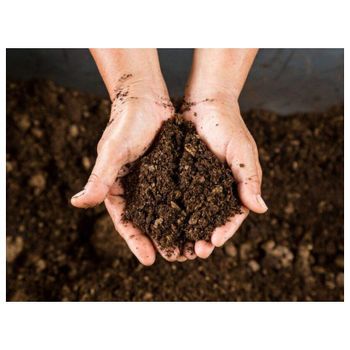 Cheap price peat moss available for nurseries and greenhouse applications - Koto Global Trade SPRL - Belgium
