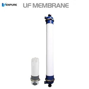 Free Trial Efficient Reclaimed-Water Reuse Seamless Membrane Ultrafiltration Water Treatment Equipment for Dubai - Enpure Intelligent Technology (Qingdao) Co., Ltd. - China