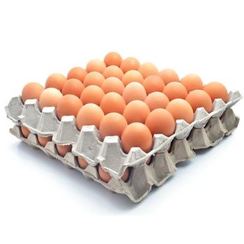 Fresh Chicken Brown Table Eggs - AGRO AFRIQUE COMPANY LIMITED - Tanzania