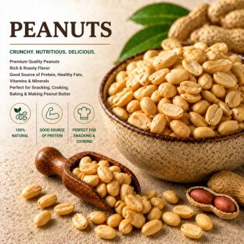 Peanuts - GLOBAL AGRICOL LTD - Kenya