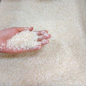 Taste Premium Sella Basmati Rice With Excellent Grain Length Smooth Texture And Authentic Flavor At Cheap Price - CPW TRADE LTD - United Kingdom