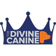 Product - The Divine Canine - United States