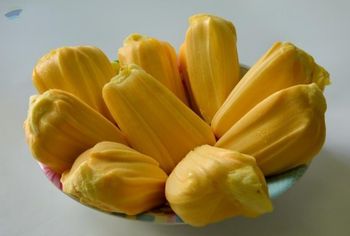 Frozen Jackfruit Taste Preserved Shelf Life Long Texture Preserved Dietary Suitability Vegan Nutritional Value -  BR Global Trade  - India
