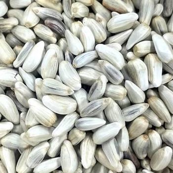 Safflower Seed - SVG - Botswana
