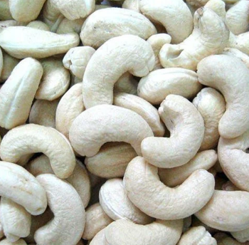 Wholesale Organic Cashew nuts Raw Cashew Dried Nuts Cashew Nuts W320 High Quality Vietnam 100% Organic with CHEAP price - AGRONOVA - United States