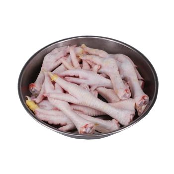 Wholesale Good Quality Expertly Cut Chicken Feet/Paws Halal Frozen Chicken Parts Box Packaging for Exporters' Choice - Carla Pisselli Commercio - Brazil