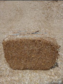 Rice husk - Fahad - Pakistan