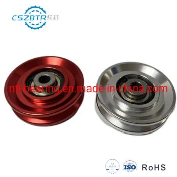 Factory 110mm Diameter Alloy Pulley Bearing Fitness Equipment Accessories - Changsha Terry Machinery Co., Ltd. - China