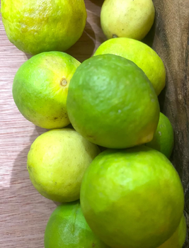 Fresh Clean Citrus Lemons Premium Quality Export Grade Organic No Origin Spain Diameter 80mm Acidity Strong Juice Content High - Sosa Merchant Solutions - Austria