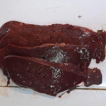 Best Price Frozen Halal Beef Liver with Carefully Selected Cuts for Hotels Restaurants and Catering Operations from TRADECENTRIC LLC Best Price Frozen Halal Beef Liver with Carefully Selected Cuts for Hotels Restaurants and Catering Operations - TRADECENTRIC LLC - United States