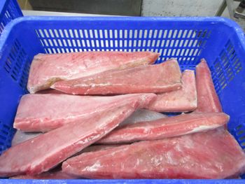 Frozen Yellowfin Tuna Belly Cut Belly Meat Type Fish Features CO treated Degree of Processing 5 Freshness Level Frozen Origin Indonesia, Vietnam - Viet Tuna.vy - Vietnam