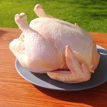 Fast Delivery Fresh Frozen Whole Chicken Poultry Meat Body Premium Quality Vacuum Pack 10kg 24 Months Shelf Life - PLANETE COMMERCE - France