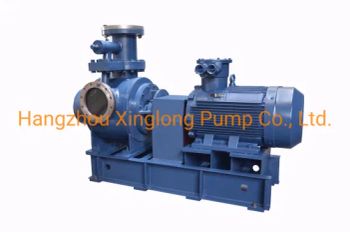 Xinglong Pd Positive Displacement Double Twin Screw Pump for Fuel Oil and Other Oils - Hangzhou Xinglong Pump Co., Ltd. - China