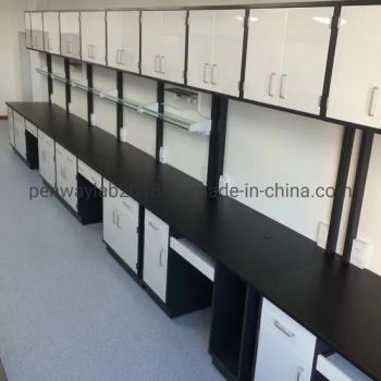 Experiment Powder Coated Steel Medical Furniture Other Furniture - Guangzhou Penway Lab Equipment Co., Ltd. - China